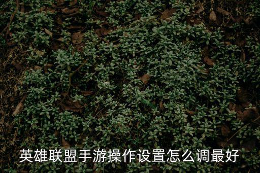 英雄联盟手游操作怎么设置比较好，怎么显出英雄联盟游戏中