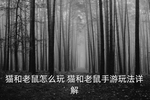 猫和老鼠怎么玩 猫和老鼠手游玩法详解