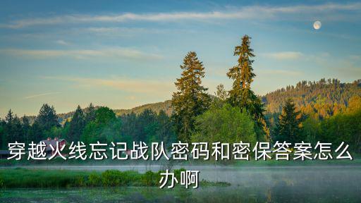 穿越火线忘记战队密码和密保答案怎么办啊