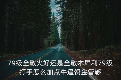 79级全敏火好还是全敏木犀利79级打手怎么加点牛逼资金管够
