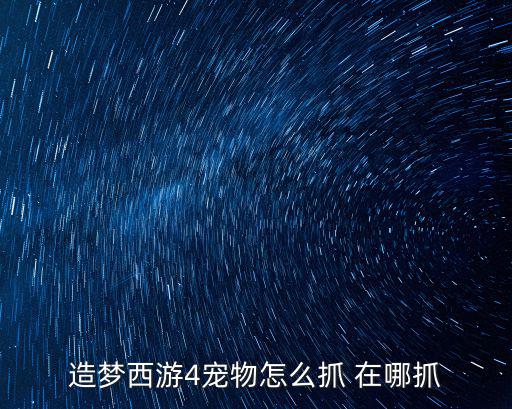 造梦西游4宠物怎么抓 在哪抓
