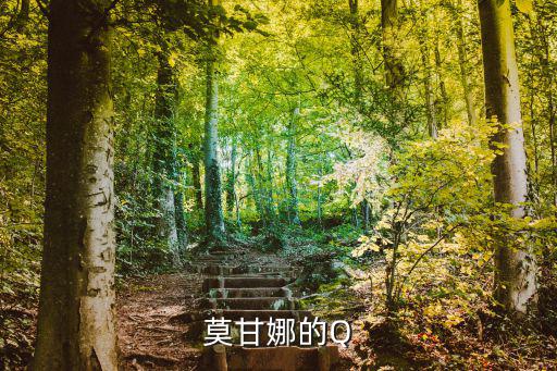 莫甘娜的Q