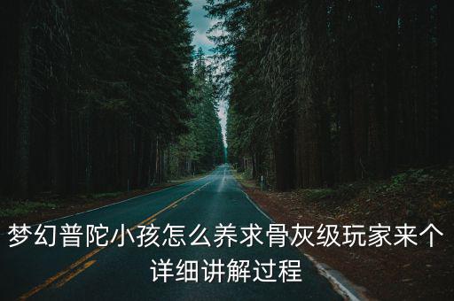 梦幻普陀小孩怎么养求骨灰级玩家来个详细讲解过程