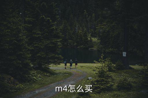 m4怎么买