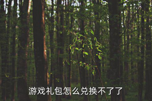 游戏礼包怎么兑换不了了
