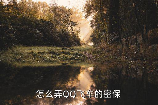 怎么弄QQ飞车的密保