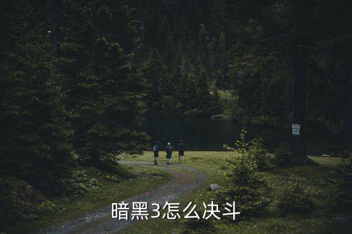 暗影格斗3手游怎么和朋友单挑，暗黑3怎么决斗