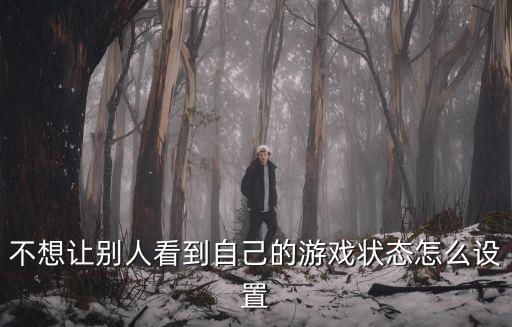 不想让别人看到自己的游戏状态怎么设置