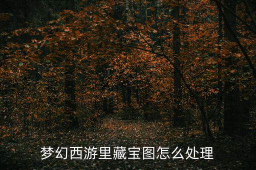 梦幻西游里藏宝图怎么处理