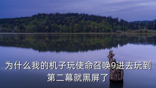 为什么我的机子玩使命召唤9进去玩到第二幕就黑屏了