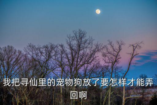 寻仙手游宠物存放怎么取出，寻仙宠物怎样打开剩下的放宠物的格子
