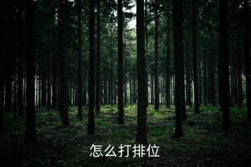 怎么打排位