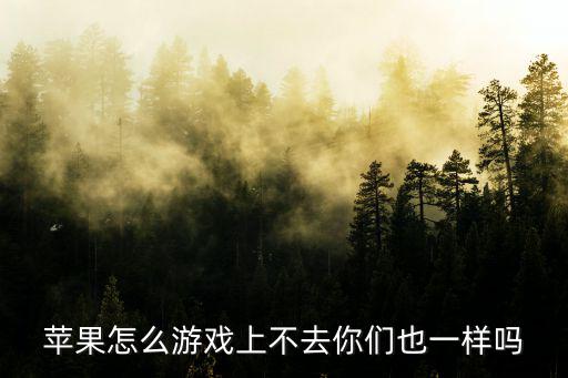 ios怎么登陆不上lol手游，苹果怎么游戏上不去你们也一样吗