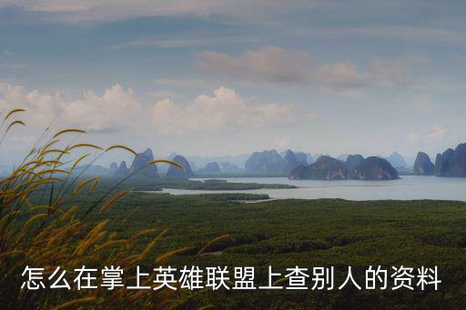 手游联盟怎么看队友段位，怎么看英雄联盟的排位级别