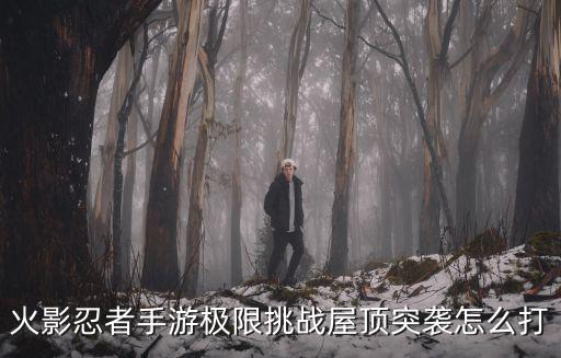 火影忍者手游挑战怎么打，火影忍者手游极限挑战屋顶突袭怎么打
