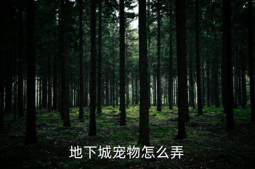 地下城宠物怎么弄