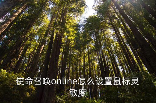 使命召唤online怎么设置鼠标灵敏度