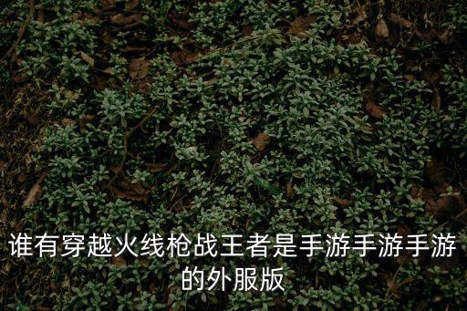 谁有穿越火线枪战王者是手游手游手游的外服版