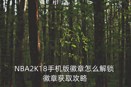 NBA2K18手机版徽章怎么解锁 徽章获取攻略