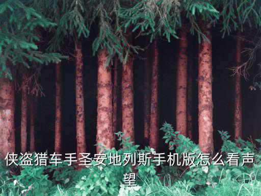 侠盗猎车手圣安地列斯手机版怎么看声望
