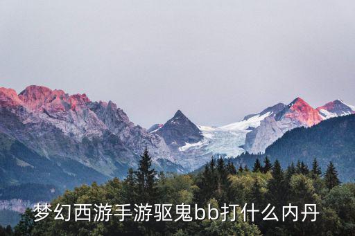 梦幻西游手游驱鬼bb打什么内丹