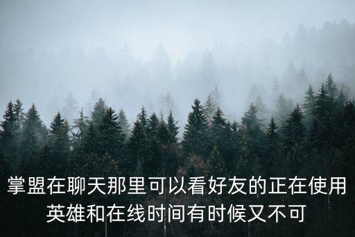 掌盟在聊天那里可以看好友的正在使用英雄和在线时间有时候又不可