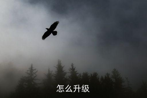 怎么升级