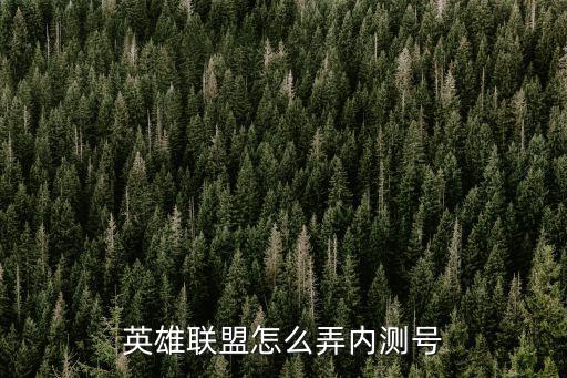 英雄联盟怎么弄内测号