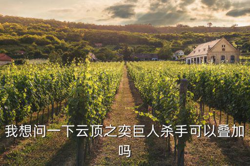 我想问一下云顶之奕巨人杀手可以叠加吗