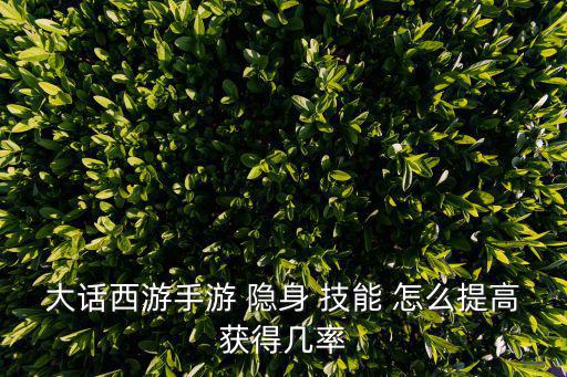 大话西游手游 隐身 技能 怎么提高获得几率