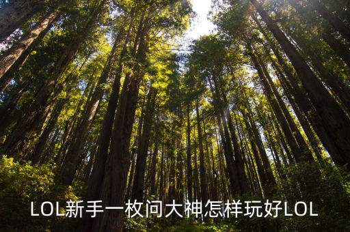 LOL新手一枚问大神怎样玩好LOL