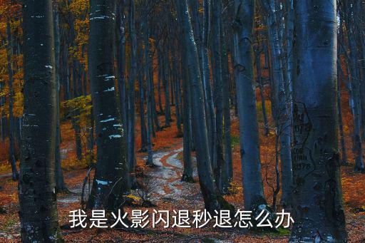 我是火影闪退秒退怎么办