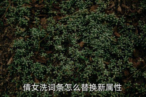 倩女洗词条怎么替换新属性
