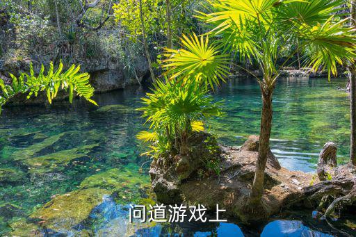 问道游戏上