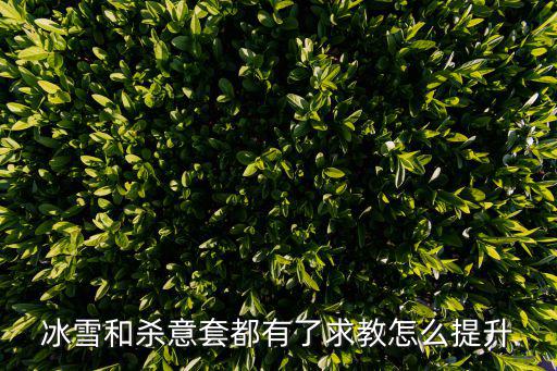 手游冰雪伤害怎么提升，冰雪和杀意套都有了求教怎么提升
