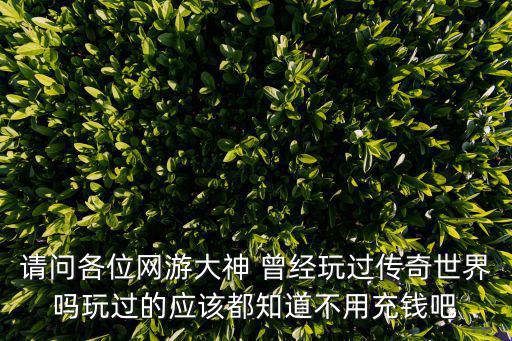 请问各位网游大神 曾经玩过传奇世界吗玩过的应该都知道不用充钱吧