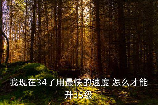 斗破苍穹手游怎么快速升35级，怎么快速升到三十五级