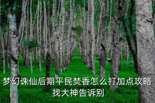 梦幻诛仙后期平民焚香怎么打加点攻略 找大神告诉别