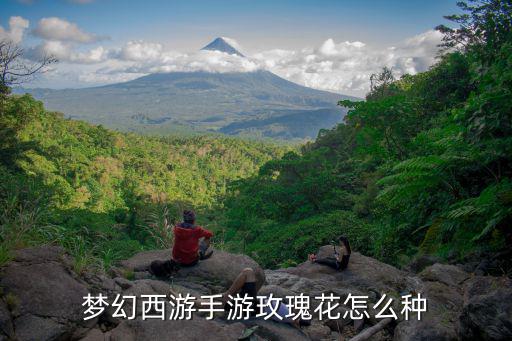 梦幻西游手游玫瑰花怎么种