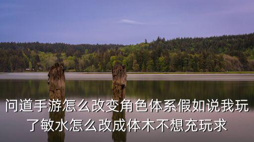 问道手游怎么改变角色体系假如说我玩了敏水怎么改成体木不想充玩求