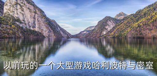 以前玩的一个大型游戏哈利波特与密室