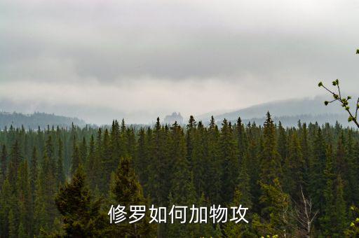 修罗如何加物攻