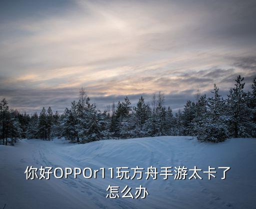你好OPPOr11玩方舟手游太卡了怎么办