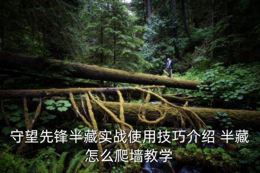 手游守望先锋英雄怎么爬墙，守望先锋源氏按一下空格就爬墙怎么设置