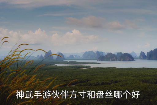 神武4手游盘丝和方寸怎么选择，手机神武小伙伴方寸好用还是盘丝好用