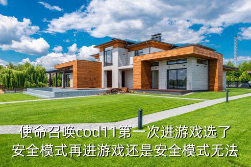 使命召唤手游怎么退出安全模式，使命召唤10退出安全模式