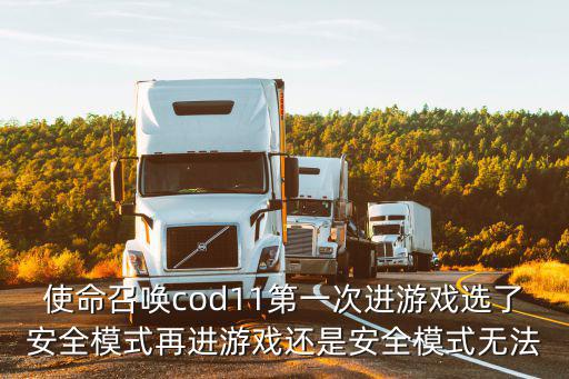 使命召唤cod11第一次进游戏选了安全模式再进游戏还是安全模式无法