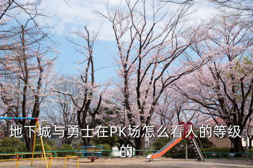 dnf手游pk场等级怎么看，地下城与勇士PK场怎么看等级