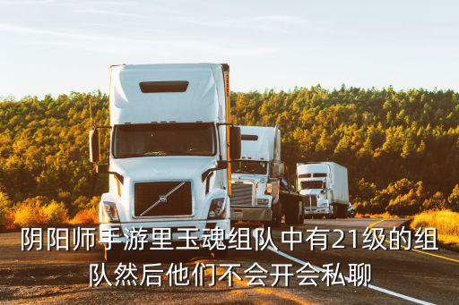 阴阳师手游里玉魂组队中有21级的组队然后他们不会开会私聊