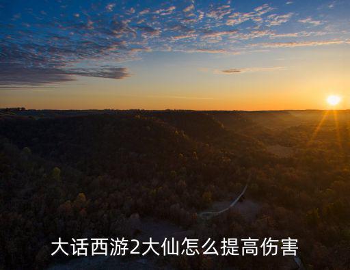 大话西游2大仙怎么提高伤害